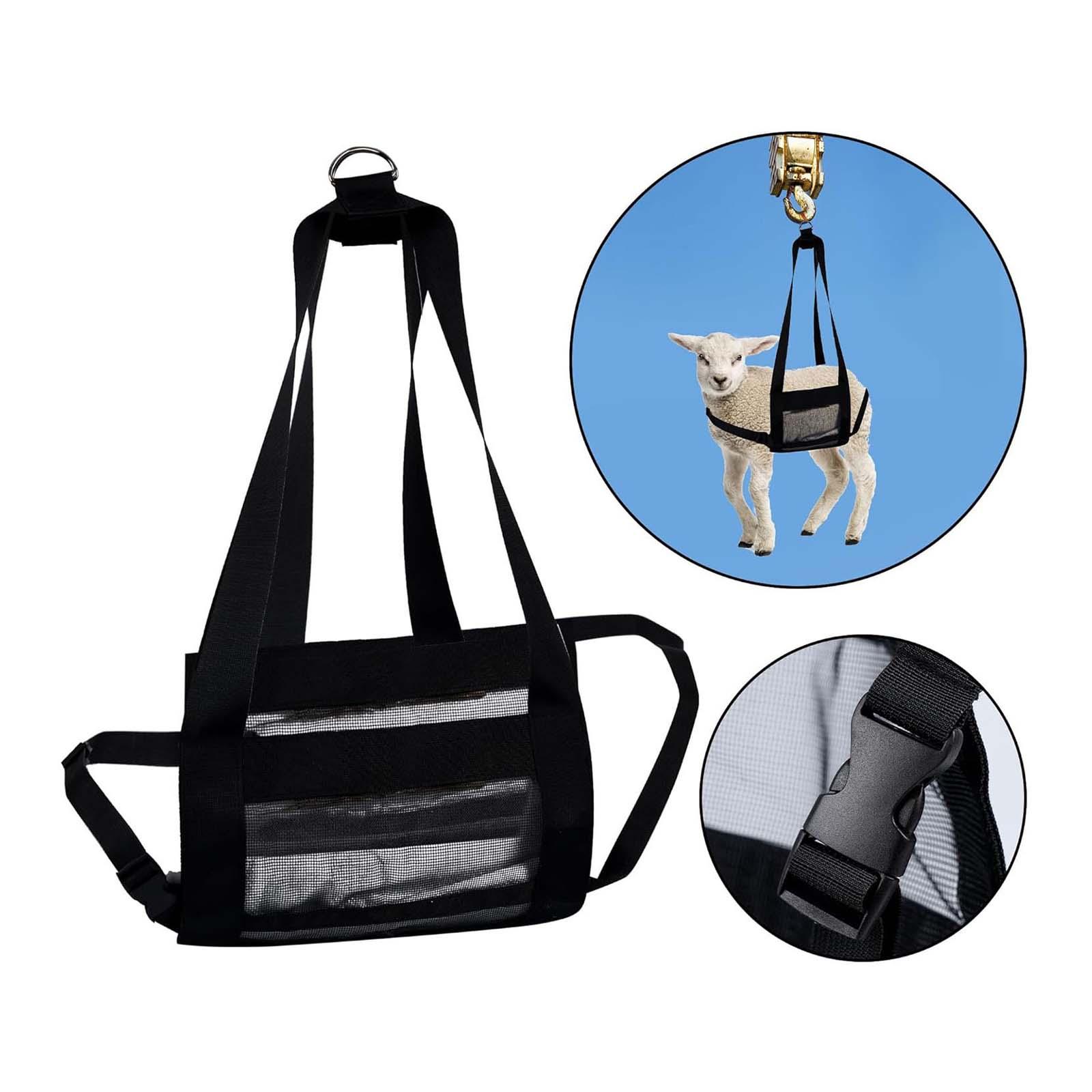 حمالة عضول الخراف المعلقة مع ح - مراجعة Mesh Strap Metal وسعره