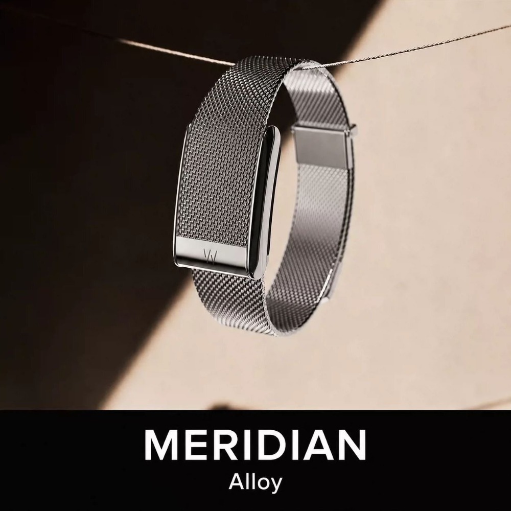 حزام معصم معدني شبكي قابل للتن - مراجعة Mesh Strap Metal وسعره